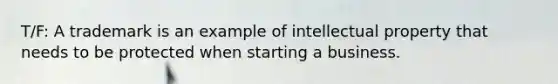 T/F: A trademark is an example of intellectual property that needs to be protected when starting a business.