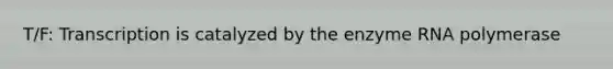 T/F: Transcription is catalyzed by the enzyme RNA polymerase