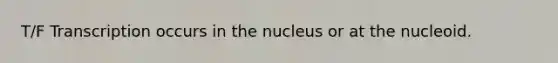 T/F Transcription occurs in the nucleus or at the nucleoid.