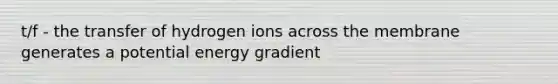 t/f - the transfer of hydrogen ions across the membrane generates a potential energy gradient