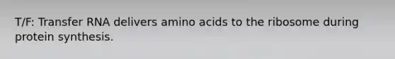 T/F: <a href='https://www.questionai.com/knowledge/kYREgpZMtc-transfer-rna' class='anchor-knowledge'>transfer rna</a> delivers <a href='https://www.questionai.com/knowledge/k9gb720LCl-amino-acids' class='anchor-knowledge'>amino acids</a> to the ribosome during <a href='https://www.questionai.com/knowledge/kVyphSdCnD-protein-synthesis' class='anchor-knowledge'>protein synthesis</a>.