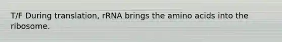 T/F During translation, rRNA brings the amino acids into the ribosome.