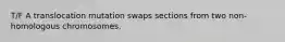 T/F A translocation mutation swaps sections from two non-homologous chromosomes.