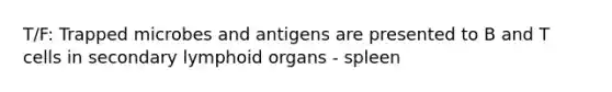 T/F: Trapped microbes and antigens are presented to B and T cells in secondary lymphoid organs - spleen