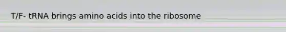 T/F- tRNA brings <a href='https://www.questionai.com/knowledge/k9gb720LCl-amino-acids' class='anchor-knowledge'>amino acids</a> into the ribosome