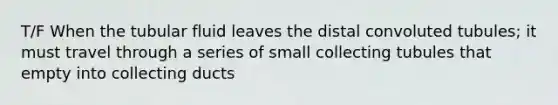 T/F When the tubular fluid leaves the distal convoluted tubules; it must travel through a series of small collecting tubules that empty into collecting ducts