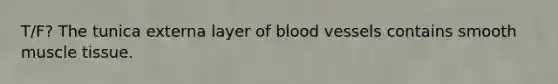 T/F? The tunica externa layer of blood vessels contains smooth muscle tissue.