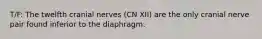 T/F: The twelfth cranial nerves (CN XII) are the only cranial nerve pair found inferior to the diaphragm.