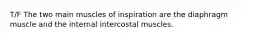 T/F The two main muscles of inspiration are the diaphragm muscle and the internal intercostal muscles.