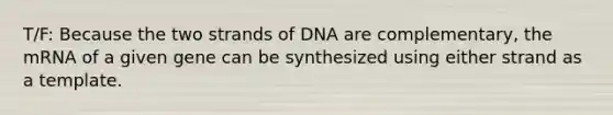 T/F: Because the two strands of DNA are complementary, the mRNA of a given gene can be synthesized using either strand as a template.