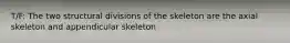 T/F: The two structural divisions of the skeleton are the axial skeleton and appendicular skeleton