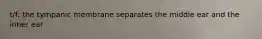 t/f: the tympanic membrane separates the middle ear and the inner ear