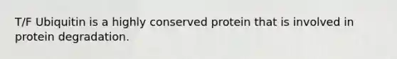 T/F Ubiquitin is a highly conserved protein that is involved in protein degradation.