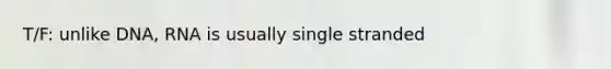 T/F: unlike DNA, RNA is usually single stranded