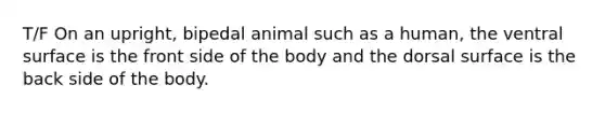 T/F On an upright, bipedal animal such as a human, the ventral surface is the front side of the body and the dorsal surface is the back side of the body.