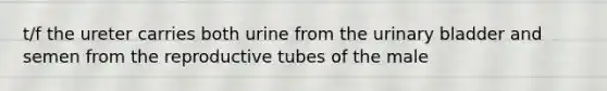 t/f the ureter carries both urine from the urinary bladder and semen from the reproductive tubes of the male