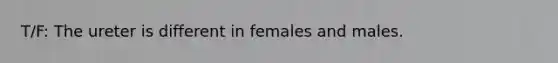 T/F: The ureter is different in females and males.