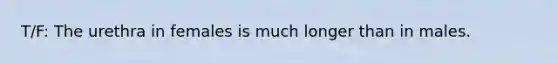 T/F: The urethra in females is much longer than in males.