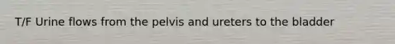 T/F Urine flows from the pelvis and ureters to the bladder