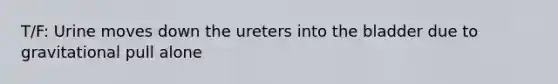 T/F: Urine moves down the ureters into the bladder due to gravitational pull alone