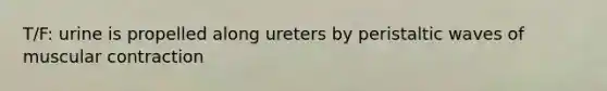 T/F: urine is propelled along ureters by peristaltic waves of muscular contraction