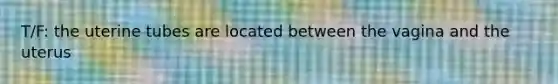 T/F: the uterine tubes are located between the vagina and the uterus