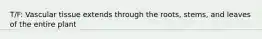 T/F: Vascular tissue extends through the roots, stems, and leaves of the entire plant