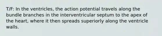 T/F: In the ventricles, the action potential travels along the bundle branches in the interventricular septum to the apex of the heart, where it then spreads superiorly along the ventricle walls.