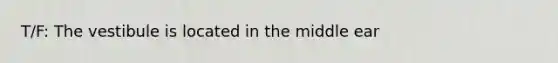T/F: The vestibule is located in the middle ear