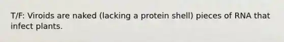 T/F: Viroids are naked (lacking a protein shell) pieces of RNA that infect plants.