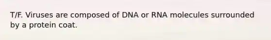 T/F. Viruses are composed of DNA or RNA molecules surrounded by a protein coat.