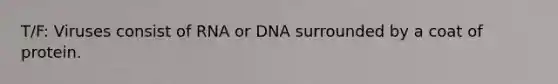 T/F: Viruses consist of RNA or DNA surrounded by a coat of protein.