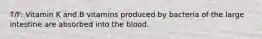 T/F: Vitamin K and B vitamins produced by bacteria of the large intestine are absorbed into the blood.