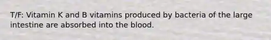 T/F: Vitamin K and B vitamins produced by bacteria of the large intestine are absorbed into the blood.
