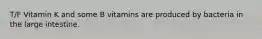 T/F Vitamin K and some B vitamins are produced by bacteria in the large intestine.