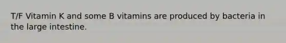 T/F Vitamin K and some B vitamins are produced by bacteria in the large intestine.