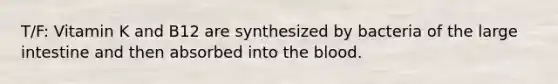 T/F: Vitamin K and B12 are synthesized by bacteria of the large intestine and then absorbed into the blood.