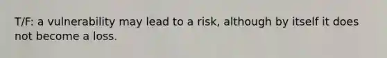 T/F: a vulnerability may lead to a risk, although by itself it does not become a loss.