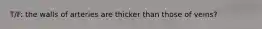 T/F: the walls of arteries are thicker than those of veins?