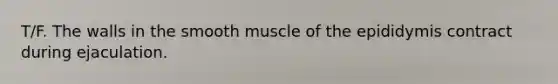 T/F. The walls in the smooth muscle of the epididymis contract during ejaculation.