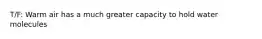 T/F: Warm air has a much greater capacity to hold water molecules