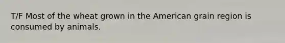T/F Most of the wheat grown in the American grain region is consumed by animals.