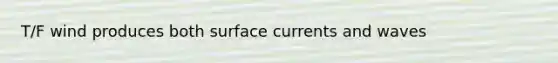 T/F wind produces both surface currents and waves
