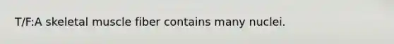 T/F:A skeletal muscle fiber contains many nuclei.