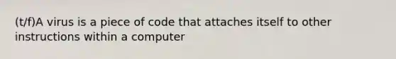 (t/f)A virus is a piece of code that attaches itself to other instructions within a computer