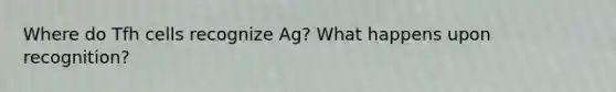 Where do Tfh cells recognize Ag? What happens upon recognition?