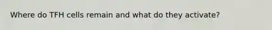 Where do TFH cells remain and what do they activate?