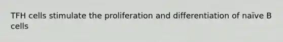 TFH cells stimulate the proliferation and differentiation of naïve B cells