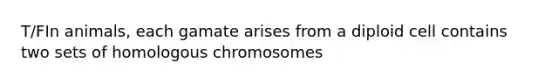 T/FIn animals, each gamate arises from a diploid cell contains two sets of homologous chromosomes