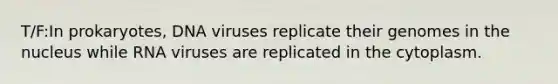 T/F:In prokaryotes, DNA viruses replicate their genomes in the nucleus while RNA viruses are replicated in the cytoplasm.